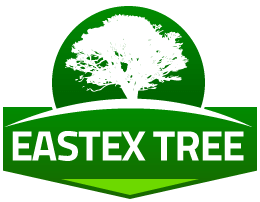 East Ex Tree