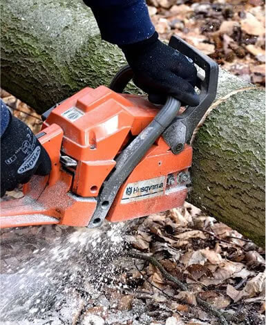 TREE CUTTING